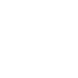 cadets